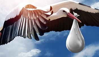 (Bijna) 52 en opnieuw geboren worden